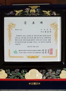 대구시장애인정보화협회 공로패
